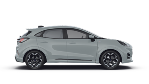 Abbildung Model Puma