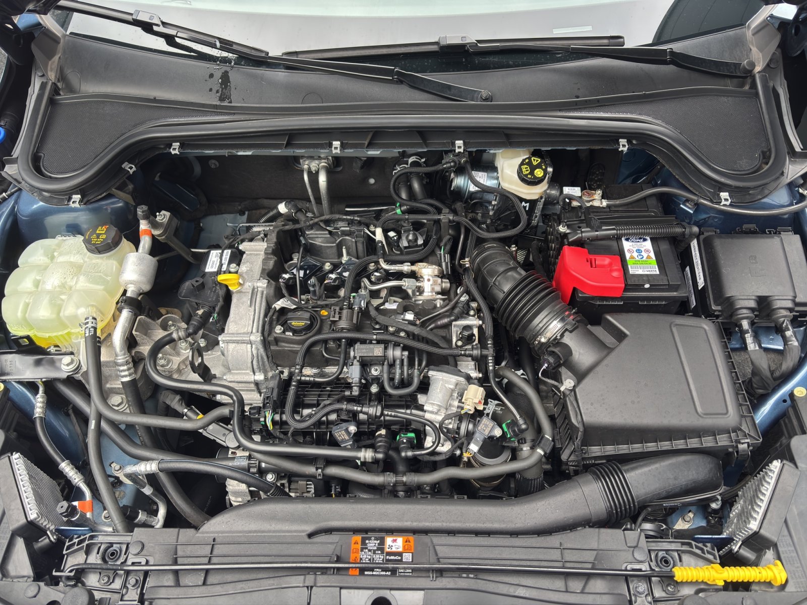 Fahrzeugabbildung Ford Focus 1.0 Ecoboost ST-Line #Winterpaket #Fahrassistenz-Paket 2