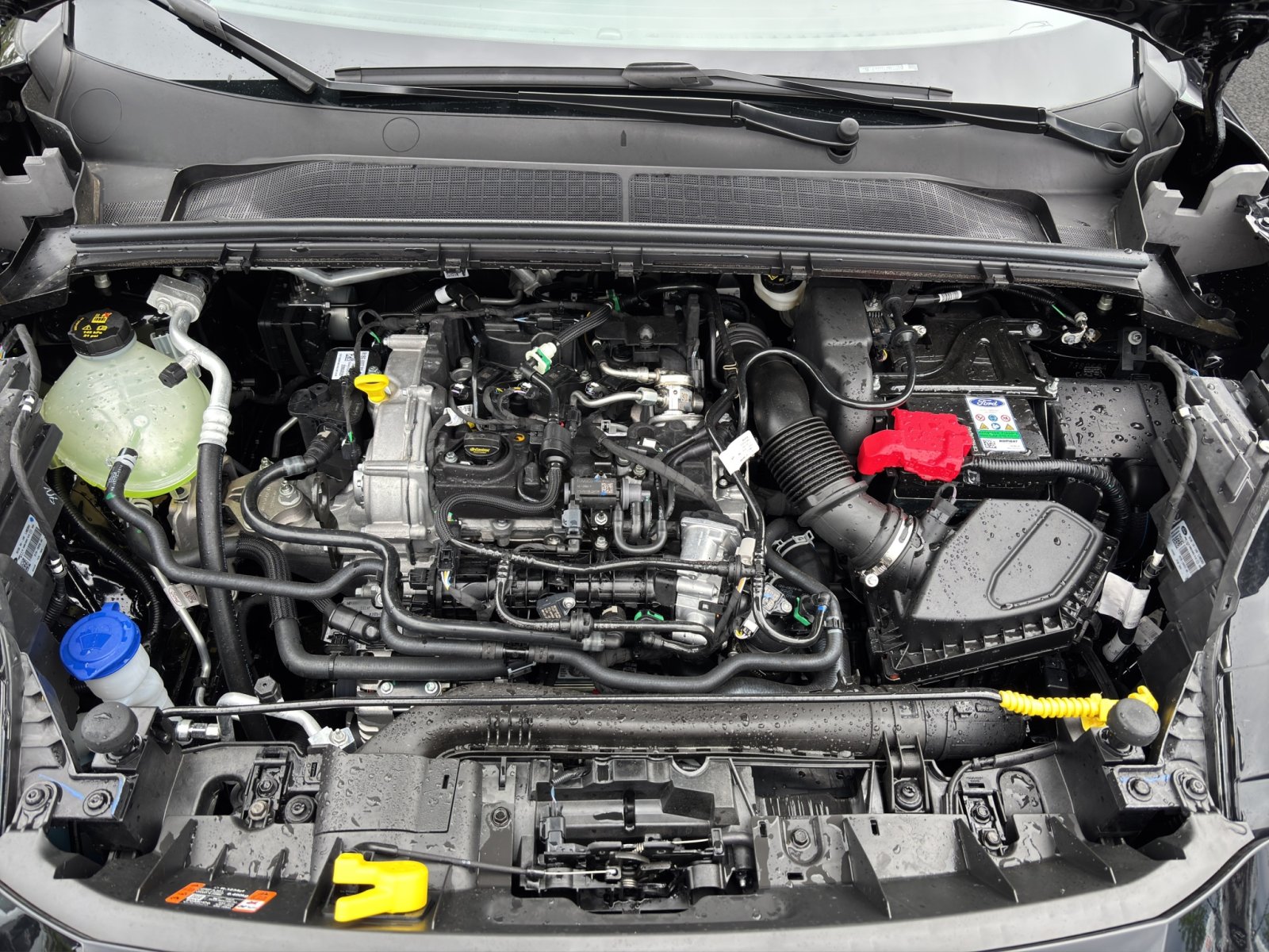 Fahrzeugabbildung Ford Puma ST-Line X