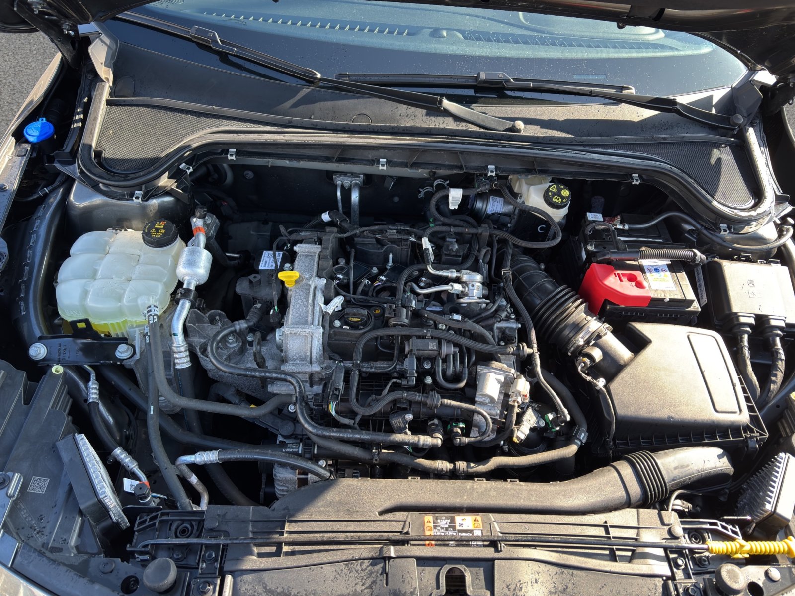 Fahrzeugabbildung Ford Focus 1.0 Ecoboost ST-Line X #Winterpaket