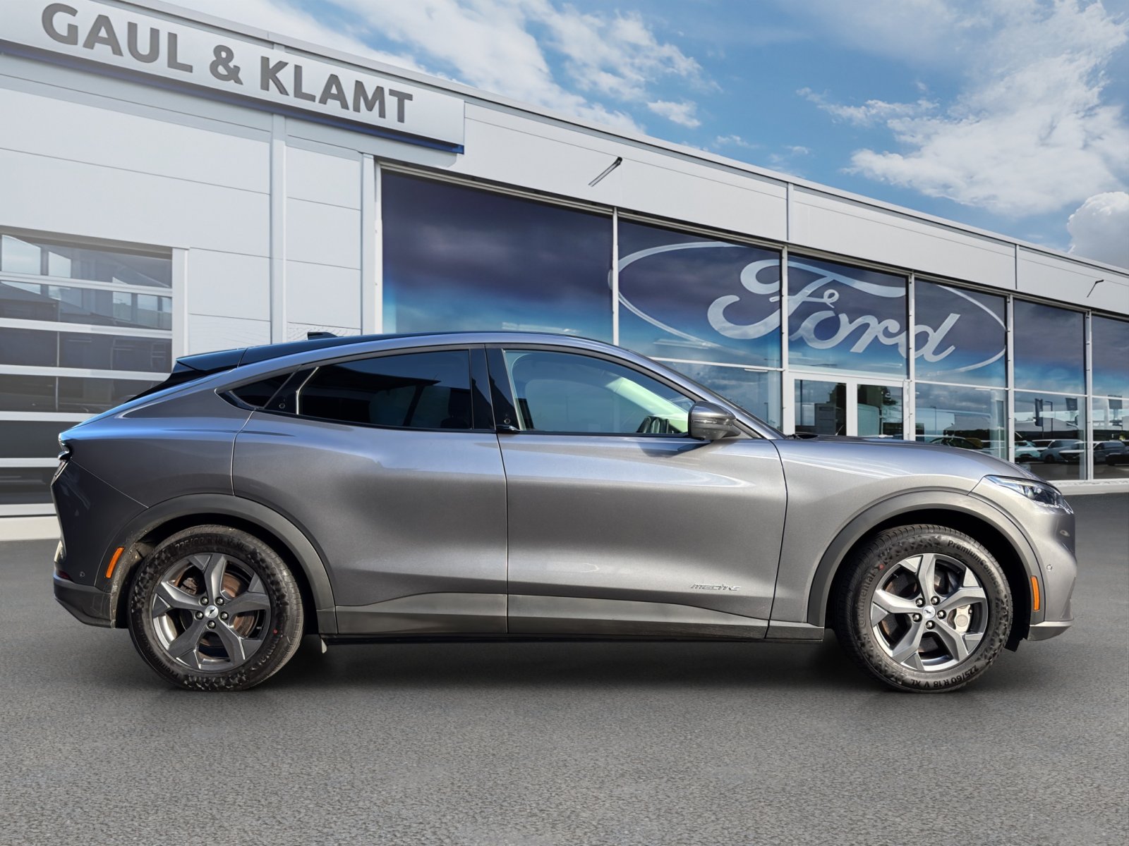 Fahrzeugabbildung Ford Mustang Mach-E Basis #Panoramadach
