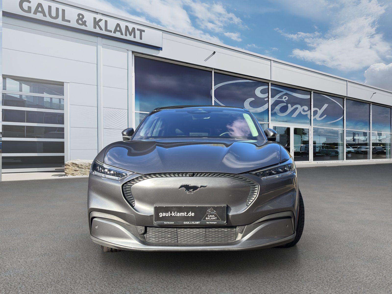 Fahrzeugabbildung Ford Mustang Mach-E Basis #Panoramadach