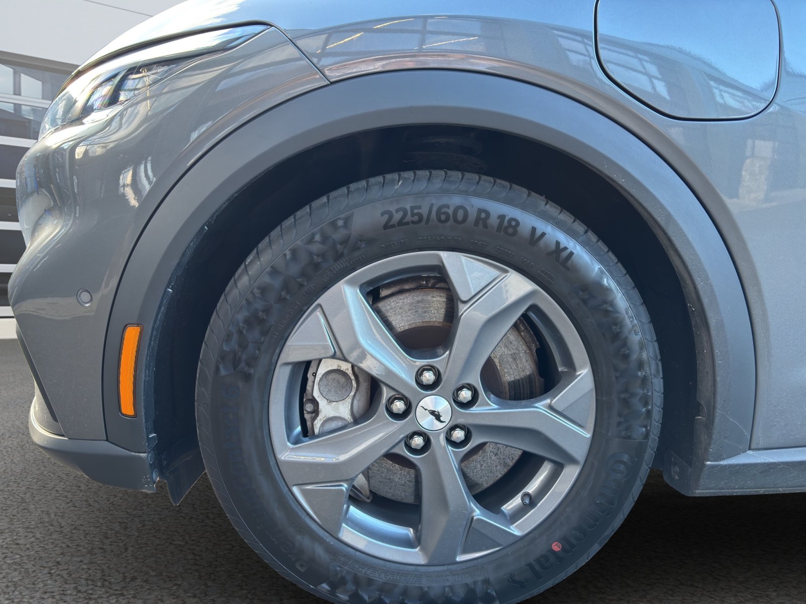 Fahrzeugabbildung Ford Mustang Mach-E Basis #Panoramadach