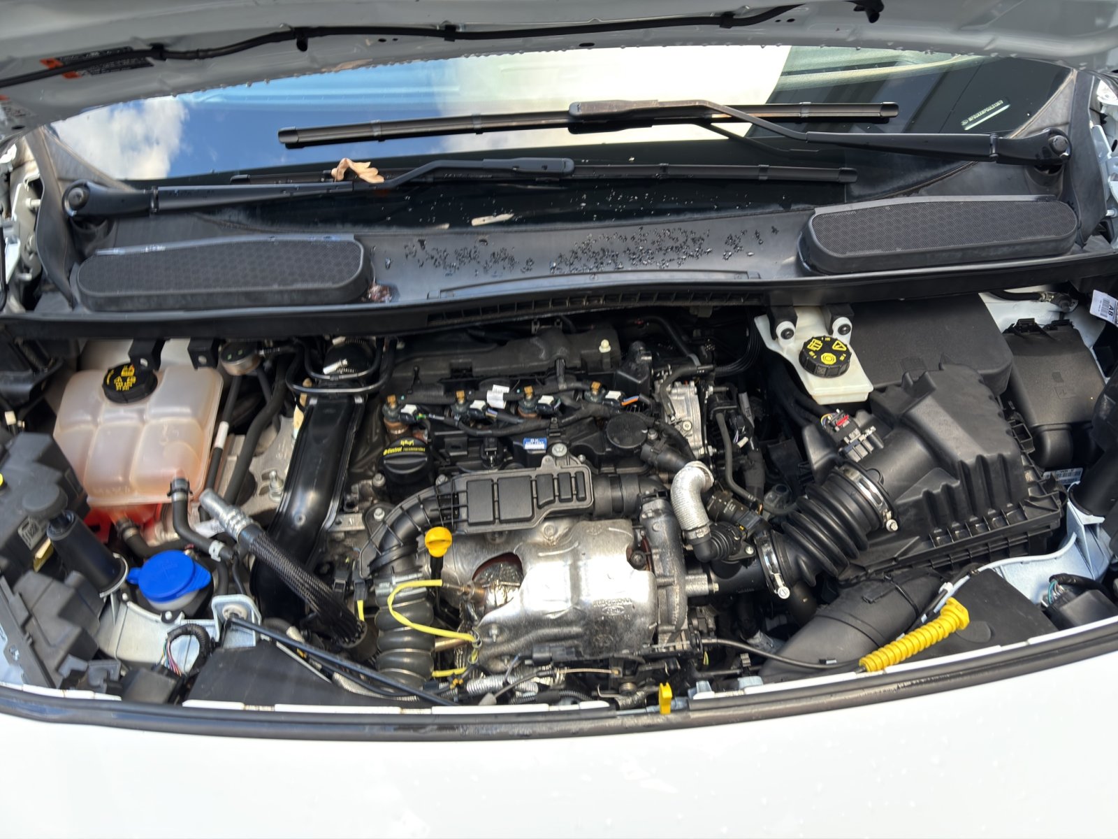 Fahrzeugabbildung Ford Grand Tourneo Titanium #Rückfahrkamera