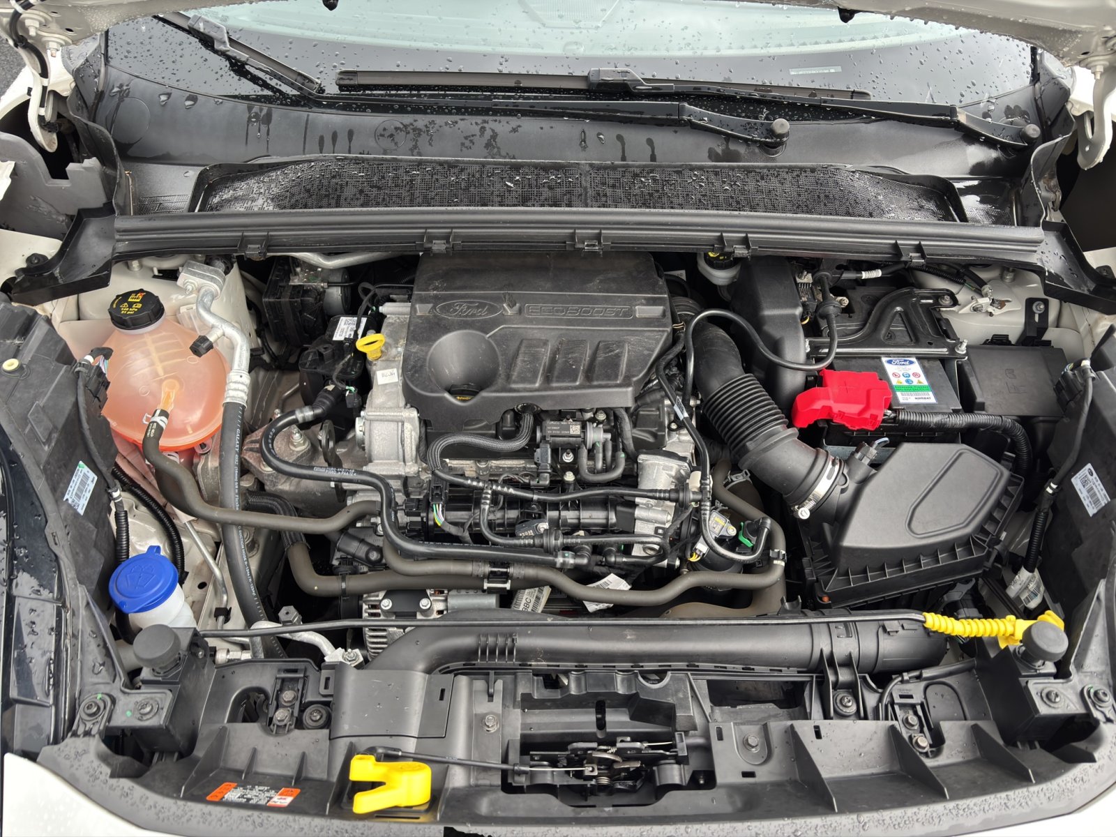 Fahrzeugabbildung Ford Puma ST-Line Vignale