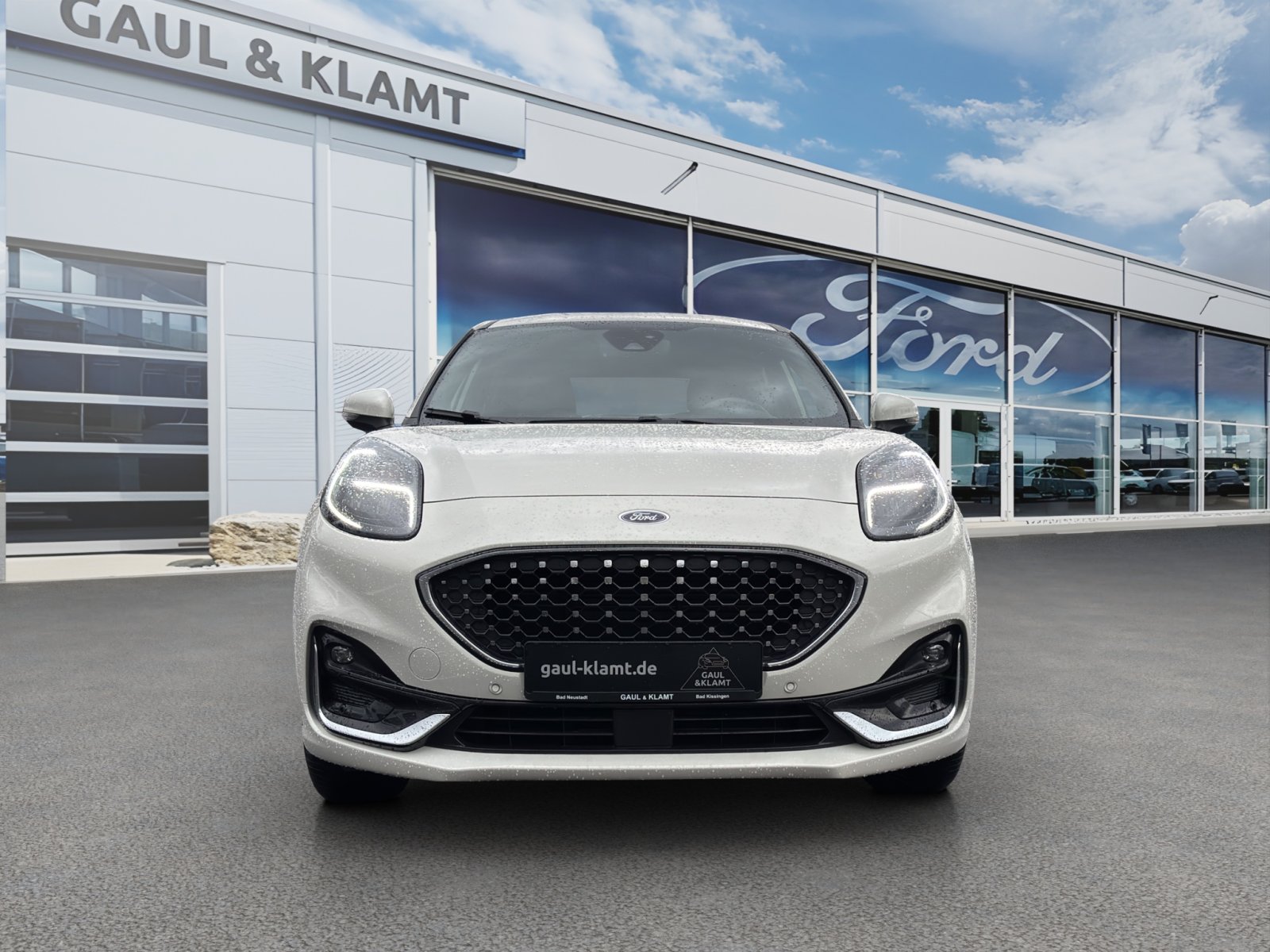 Fahrzeugabbildung Ford Puma ST-Line Vignale