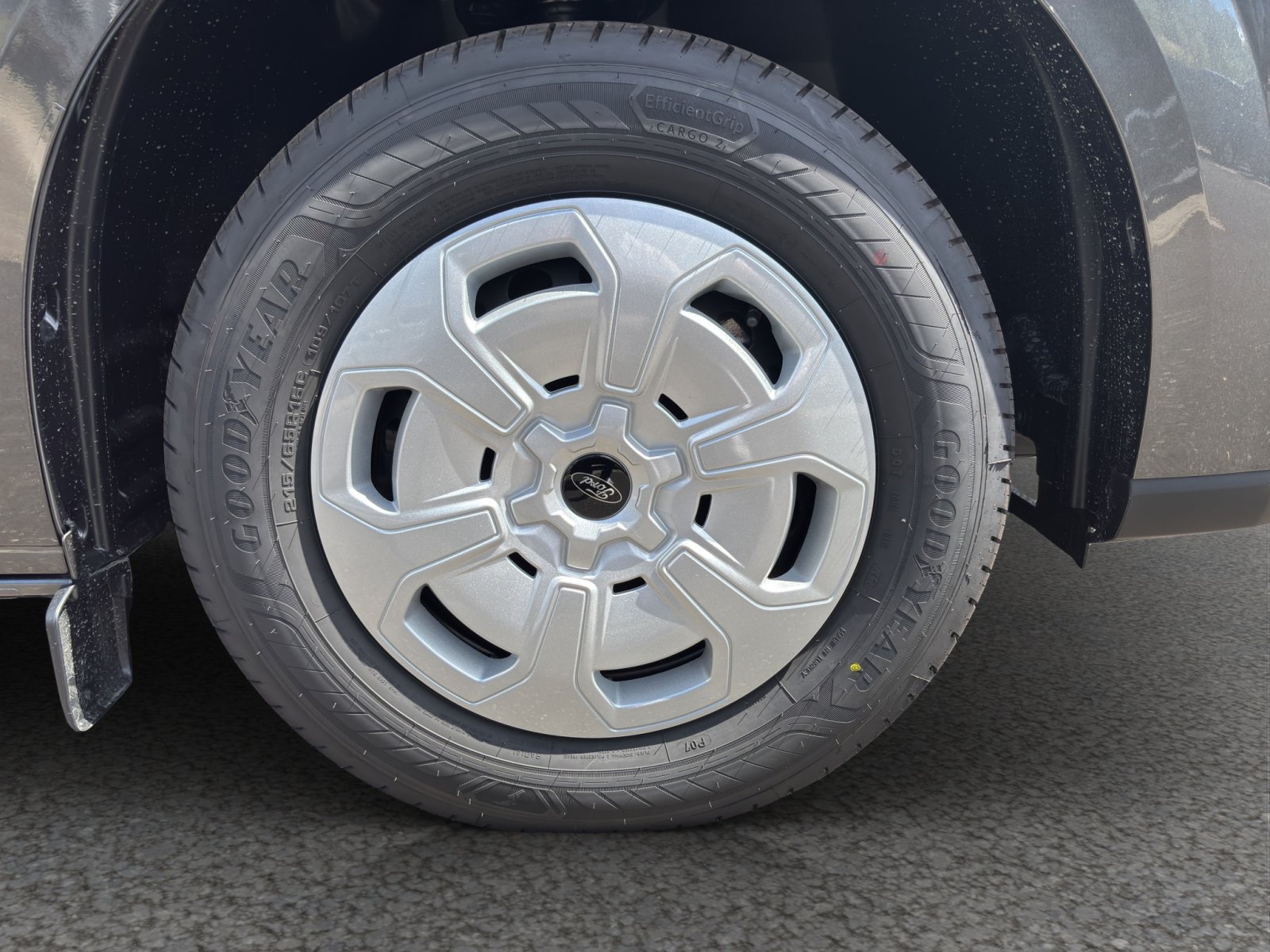 Fahrzeugabbildung Ford Transit Custom 320 L1 FWD Trend