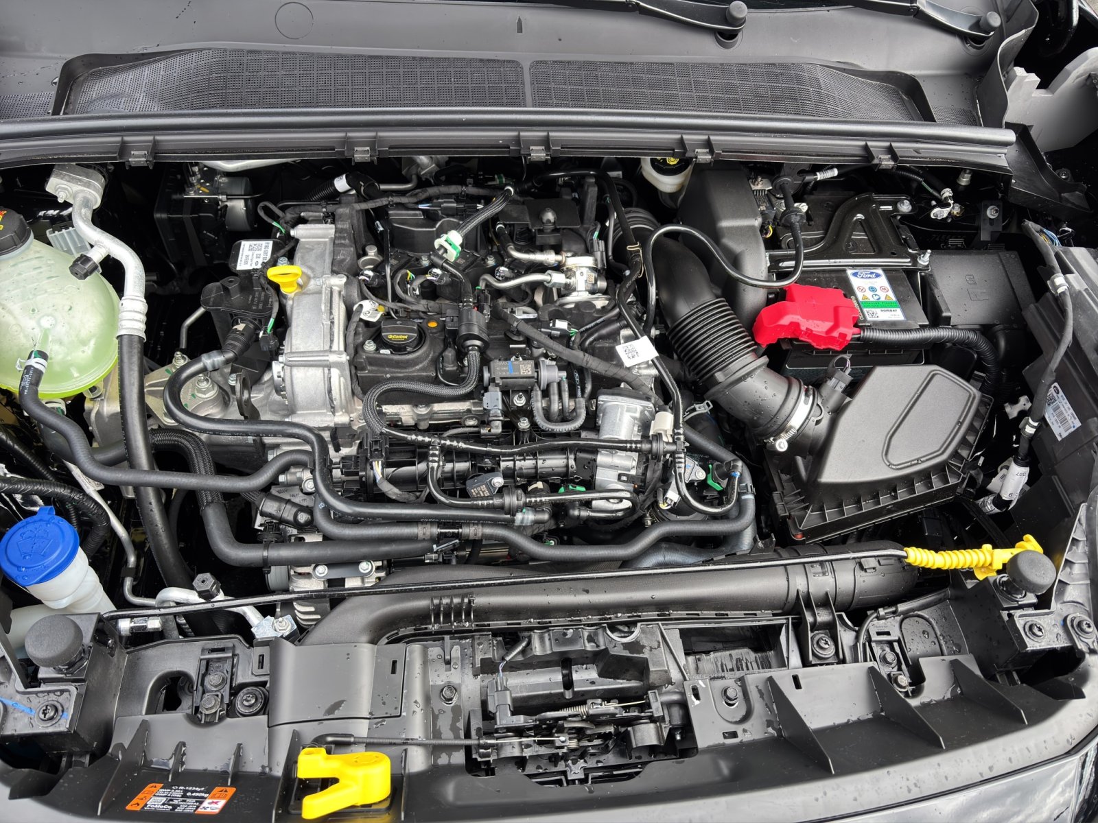 Fahrzeugabbildung Ford Puma ST-Line