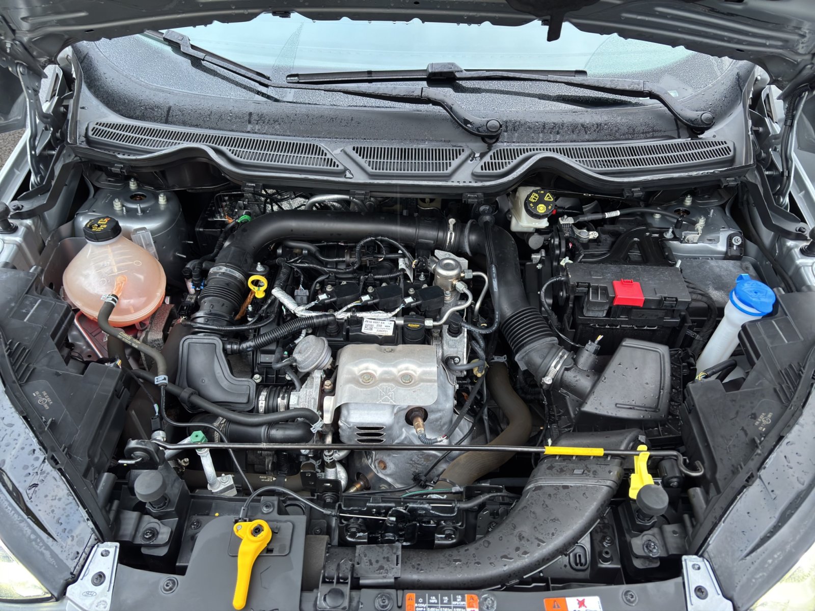 Fahrzeugabbildung Ford EcoSport ST-Line #Fahrassistenz-Paket