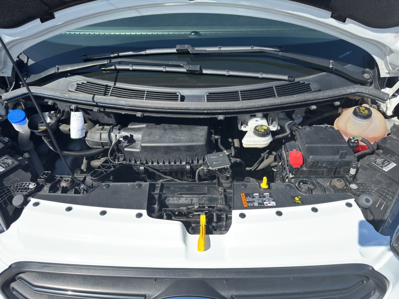 Fahrzeugabbildung Ford Transit Custom 2.0 Ecoblue 340 L1 Trend